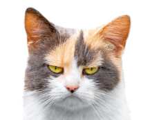 person1 account logo