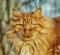 person3 account logo