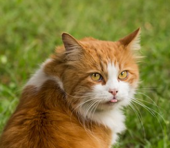 person4 account logo